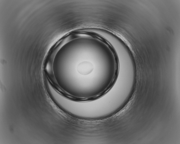 X0000090930981200708061600