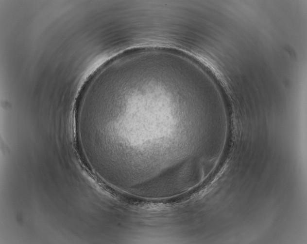 X0000090930982200708061600