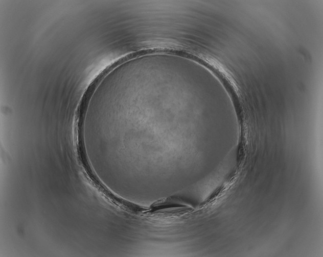 X0000090930983200708061559