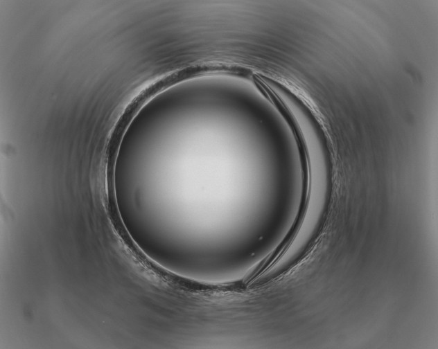 X0000090930984200708061559