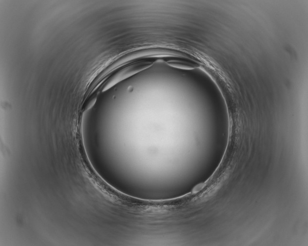 X0000090930985200708061559