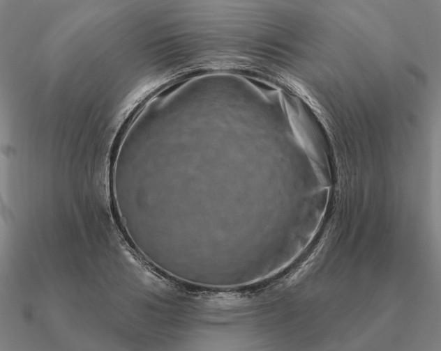 X0000090930986200708061559