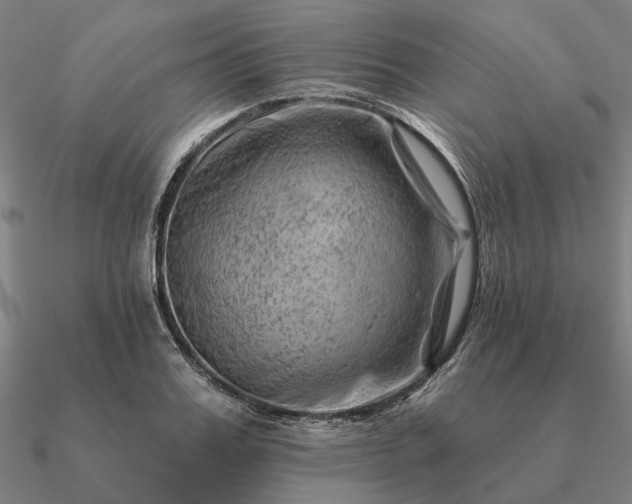 X0000090930987200708061559