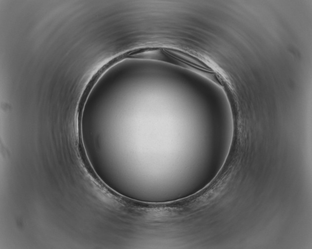 X0000090930988200708061559