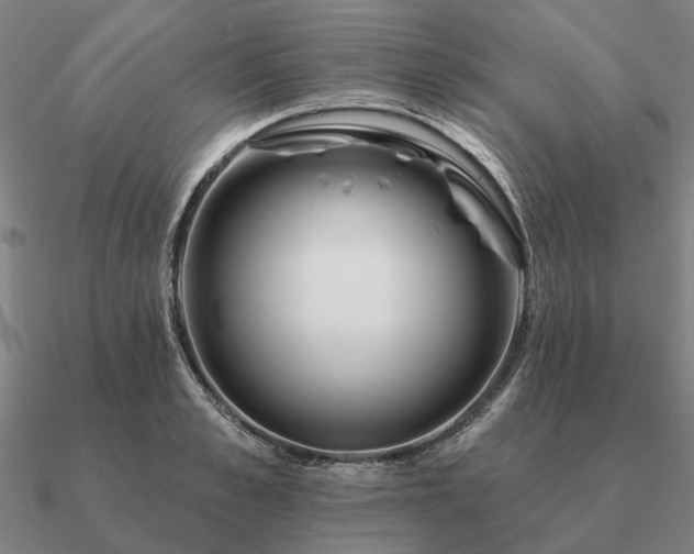 X0000090930989200708061559