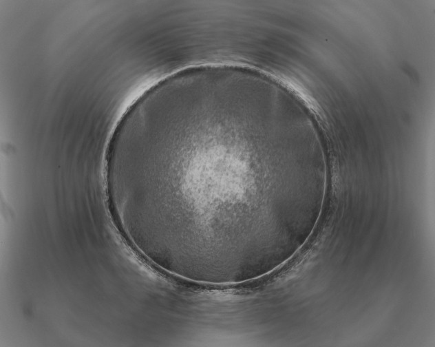 X0000090930990200708061559