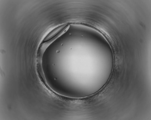 X0000090930992200708061559