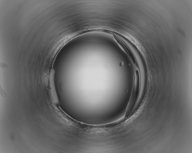 X0000090930993200708061559