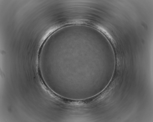 X0000090930994200708061559