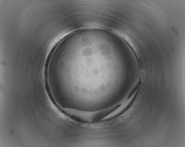 X0000090930995200708061559