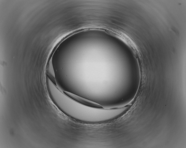 X0000090930996200708061559