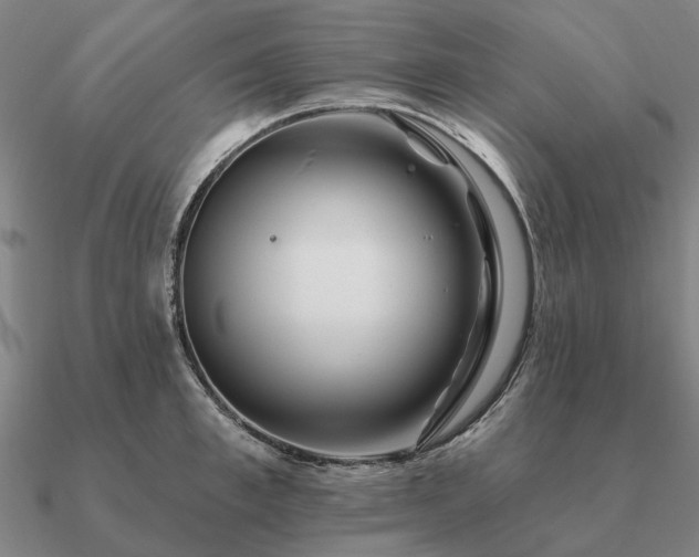 X0000090930997200708061559