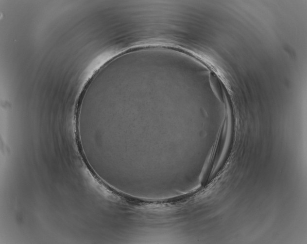 X0000090930998200708061559