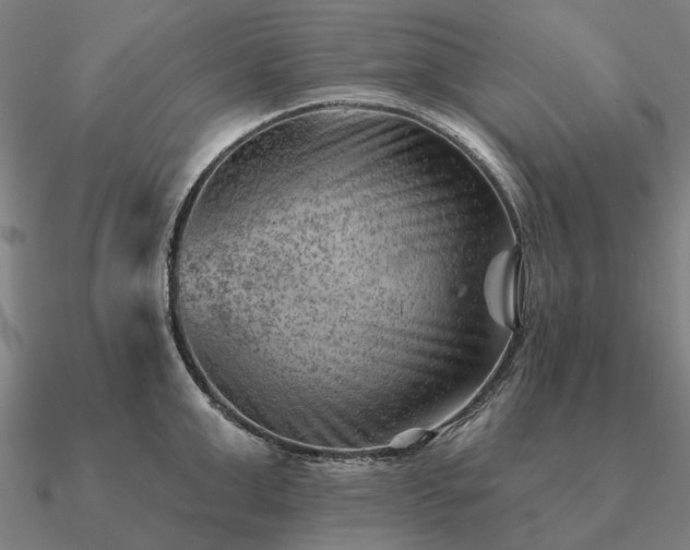 X0000090930999200708061559