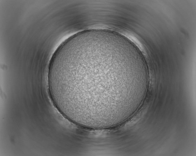 X0000090931000200708061559