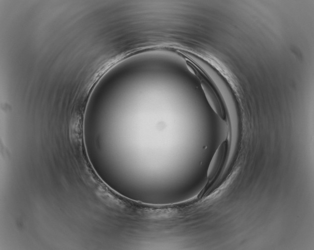 X0000090931001200708061559