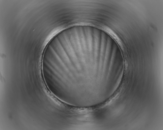 X0000090931002200708061559