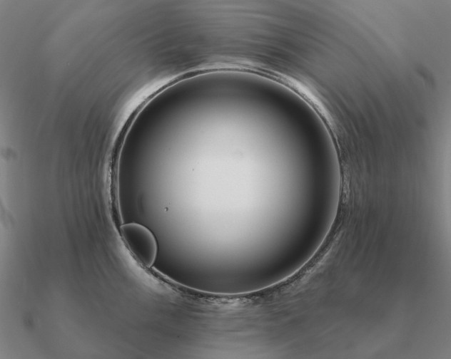 X0000090931003200708061559