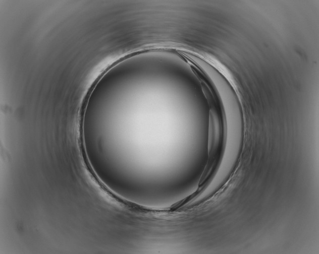 X0000090931005200708061559