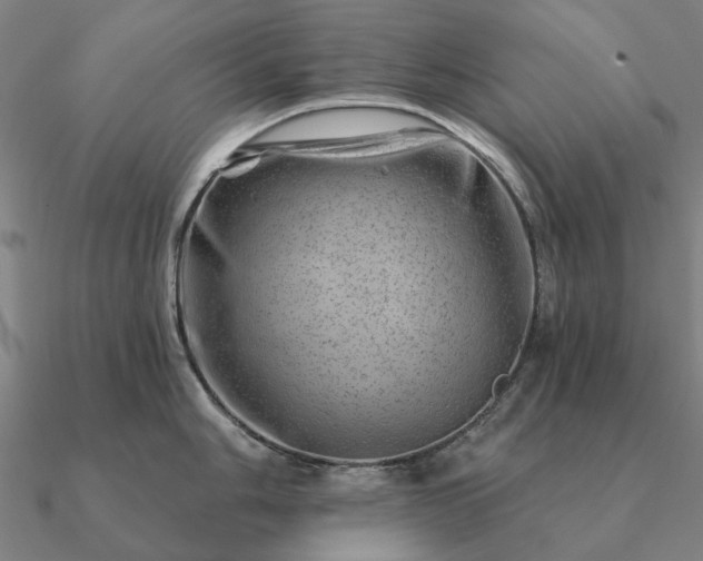 X0000090931006200708061559