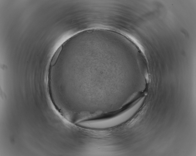 X0000090931007200708061559