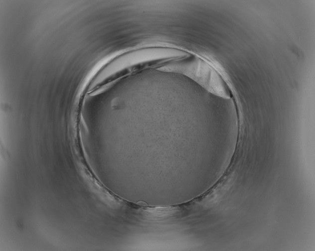 X0000090931008200708061559