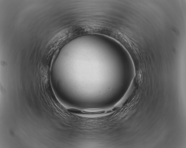 X0000090931012200708061559