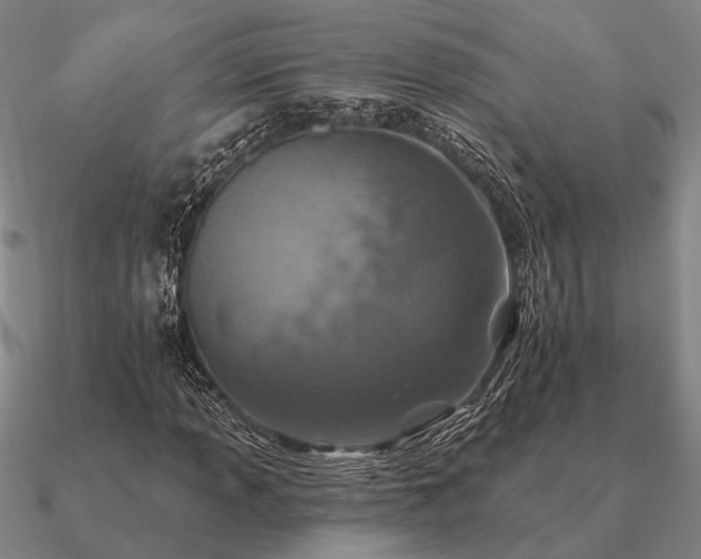 X0000090931013200708061559