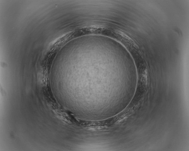 X0000090931014200708061559