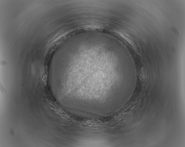 X0000090931015200708061559