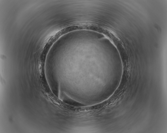 X0000090931016200708061559