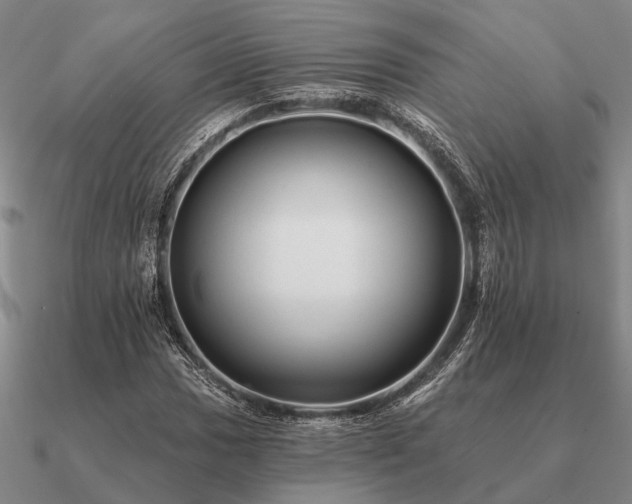 X0000090931017200708061559