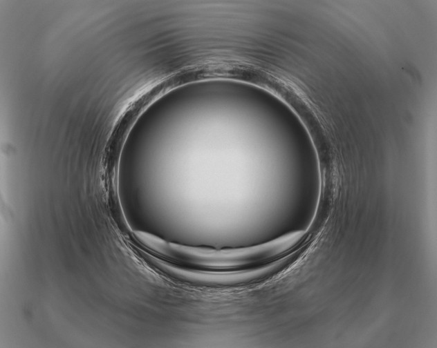 X0000090931018200708061559