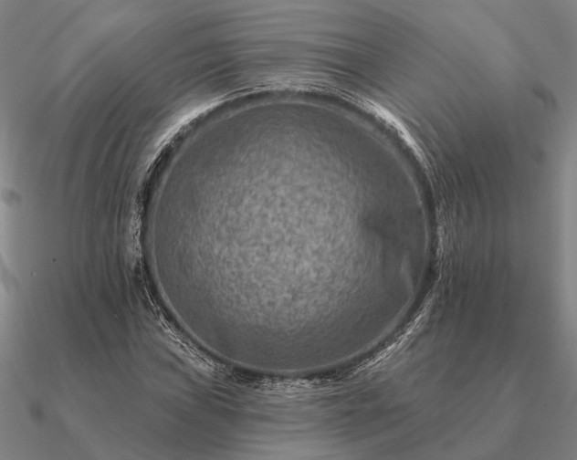 X0000090931019200708061559