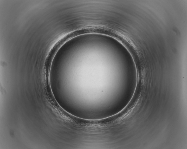 X0000090931021200708061559