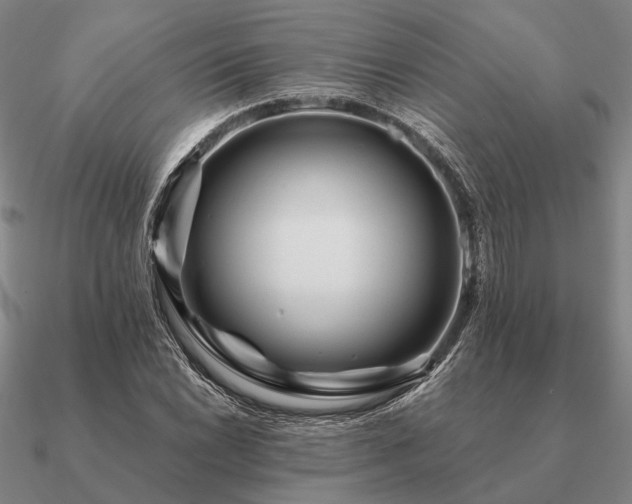 X0000090931022200708061559