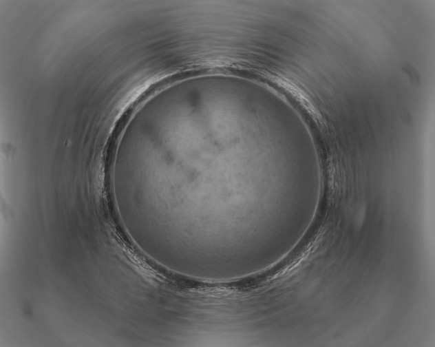 X0000090931023200708061559