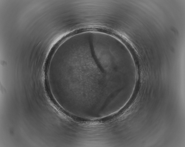 X0000090931024200708061559