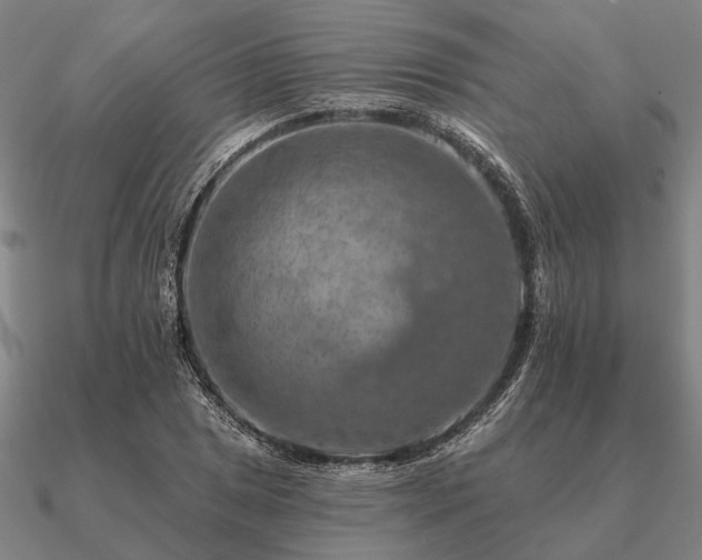 X0000090931025200708061559