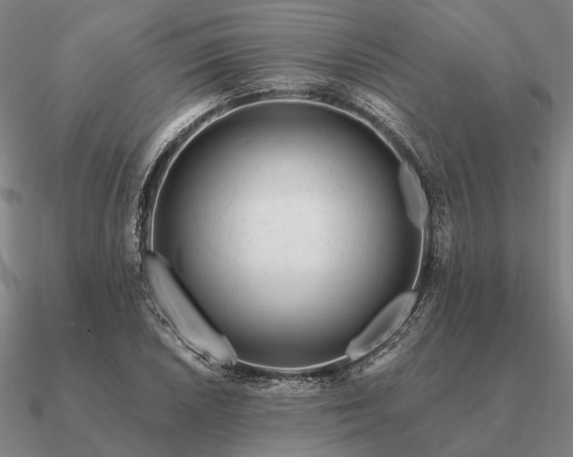 X0000090931026200708061559