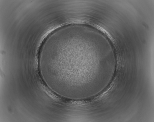 X0000090931027200708061559