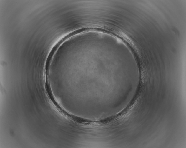 X0000090931028200708061559