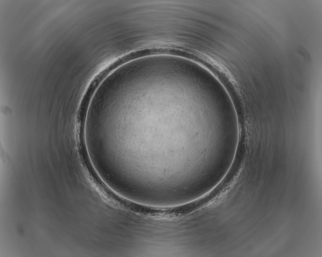 X0000090931029200708061559