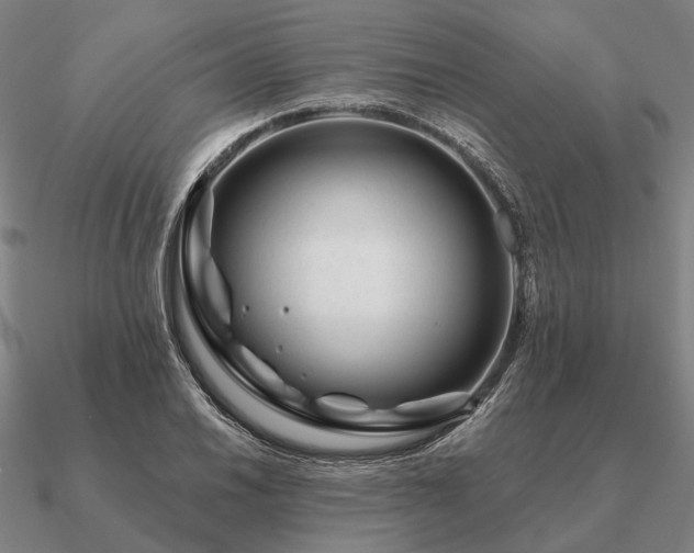 X0000090931030200708061559