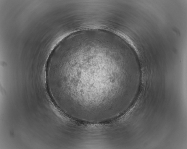 X0000090931031200708061559