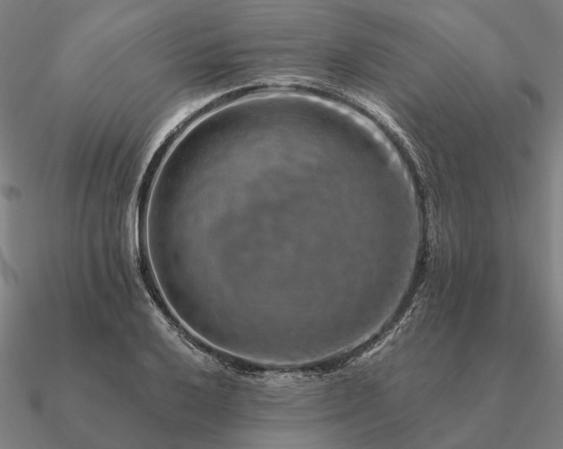 X0000090931032200708061559