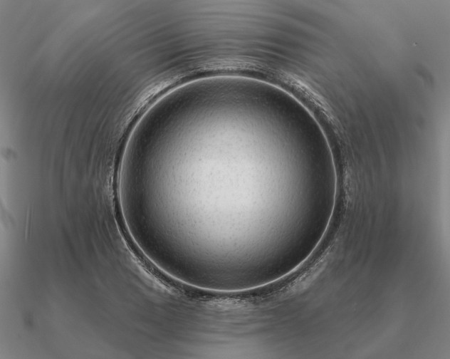 X0000090931033200708061559