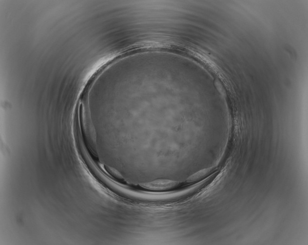 X0000090931034200708061559