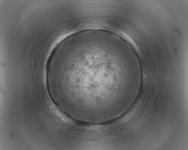 X0000090931035200708061559