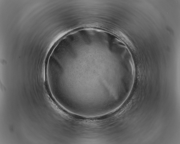 X0000090931036200708061559